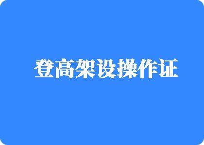 透老逼登高架设操作证